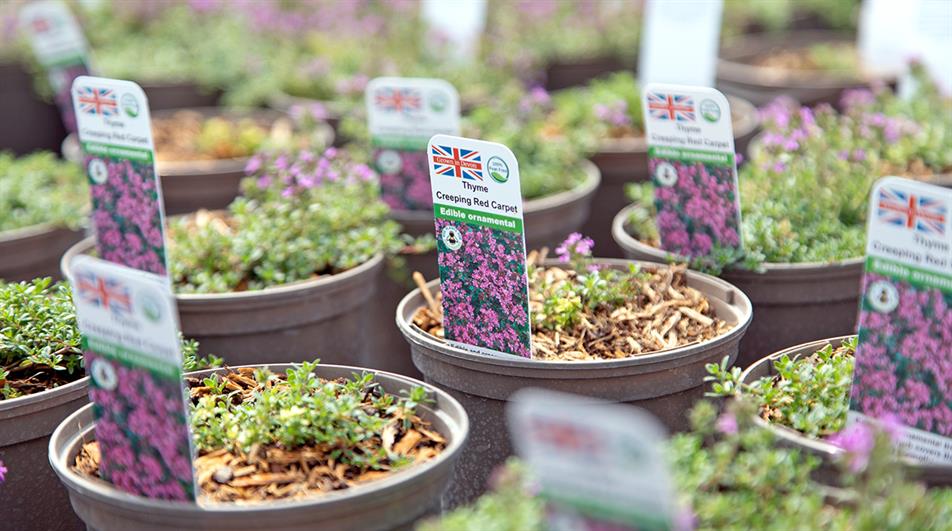 Stick-in plant labels printed in-house